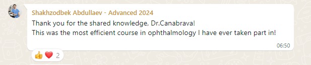 testimony-advanced-cataract-course-2024 (15)